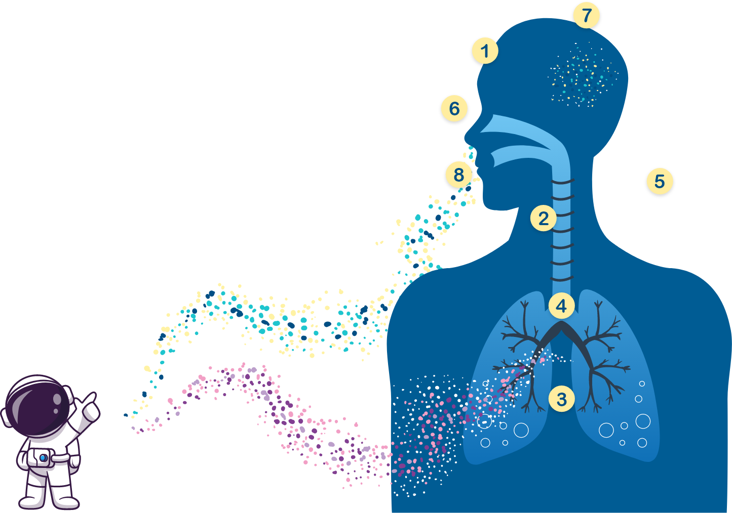 Interactive Image